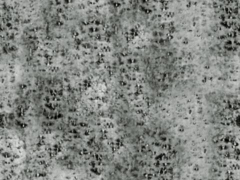 树皮 树干 木头 残旧木纹 木材 木柴 树枝