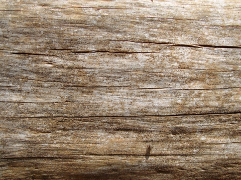  树皮 树干 木头 残旧木纹 木材 木柴 树枝 