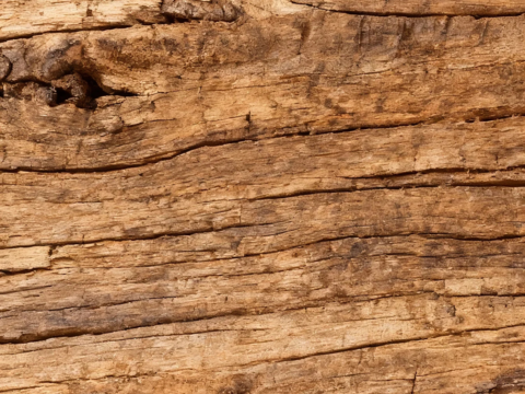  新中式 诧寂风 中古 天然木皮 老旧木头 深色木皮 