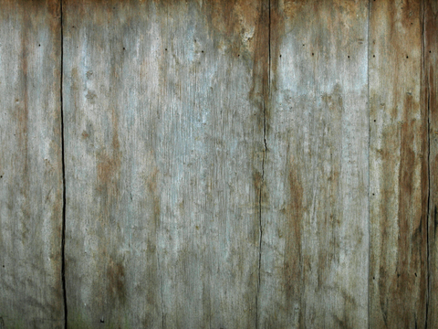  树皮 树干 木头 残旧木纹 木材 木柴 树枝 