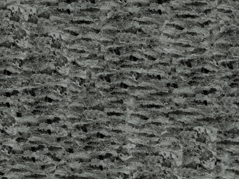  树皮 树干 木头 残旧木纹 木材 木柴 树枝 