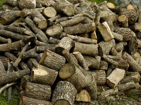  树木 年轮 木桩 树干 木头 残旧木纹 木材  干木柴 树根 