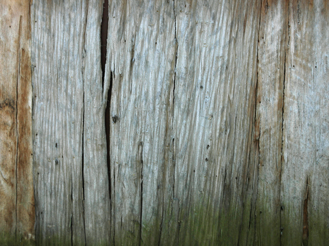 树皮 树干 木头 残旧木纹 木材 木柴 树枝