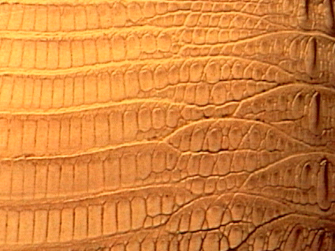  浮雕 金属浮雕 铜雕 木质雕花 十二生肖 黑白凹凸浮雕灰度图 