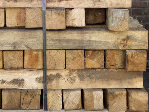 树木 年轮 木桩 树干 木头 残旧木纹 木材  干木柴 树根