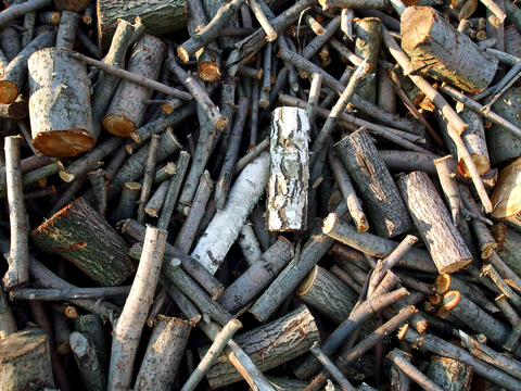  树木 年轮 木桩 树干 木头 残旧木纹 木材  干木柴 树根 