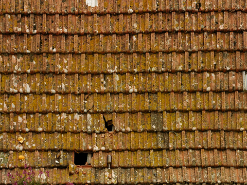 屋顶瓦片 红瓦 青瓦 房顶 中式建筑琉璃瓦