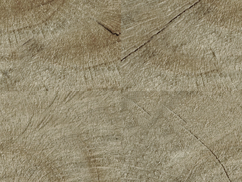  树木 年轮 木桩 树干 木头 残旧木纹 木材  干木柴 树根 