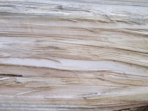  树皮 树干 木头 残旧木纹 木材 木柴 树枝 