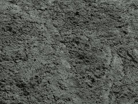  树皮 树干 木头 残旧木纹 木材 木柴 树枝 木柴 树根 