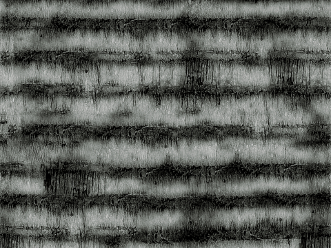 树皮 树干 木头 残旧木纹 木材 木柴 树枝