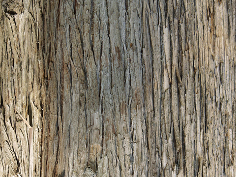  树皮 树干 木头 残旧木纹 木材 木柴 树枝 木柴 树根 