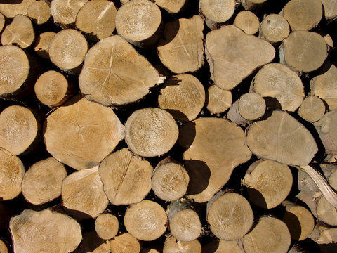 树木 年轮 木桩 树干 木头 残旧木纹 木材  干木柴 树根