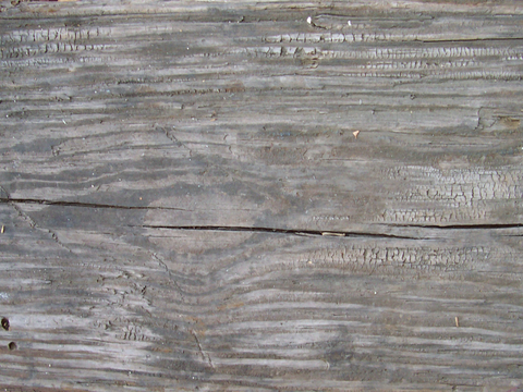 树皮 树干 木头 残旧木纹 木材 木柴 树枝