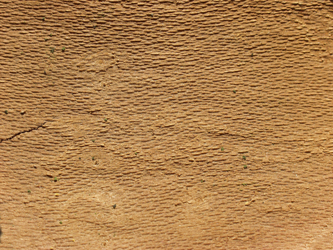  树皮 树干 木头 残旧木纹 木材 木柴 树枝 木柴 树根 