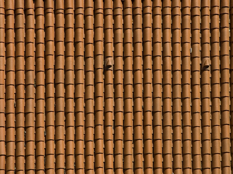 屋顶瓦片 红瓦 青瓦 房顶 中式建筑琉璃瓦