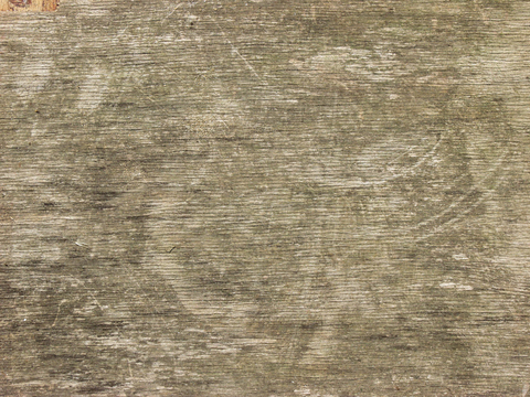 树皮 树干 木头 残旧木纹 木材 木柴 树枝