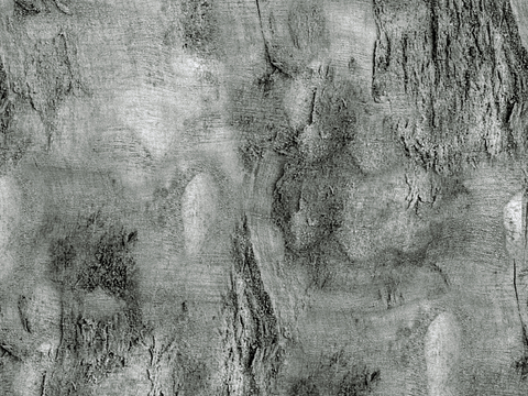  树皮 树干 木头 残旧木纹 木材 木柴 树枝 