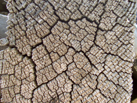  树皮 树干 木头 残旧木纹 木材 木柴 树枝 