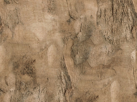 树皮 树干 木头 残旧木纹 木材 木柴 树枝