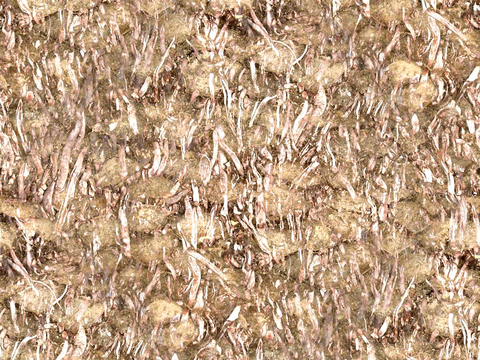  树皮 树干 木头 残旧木纹 木材 木柴 树枝 