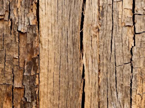  新中式 诧寂风 中古 天然木皮 老旧木头 深色木皮 