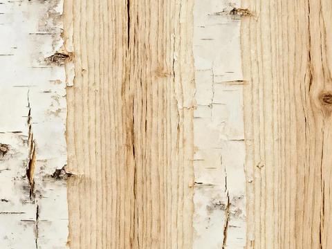  度假休闲风 名宿 天然桦木木皮 白色原木木皮 