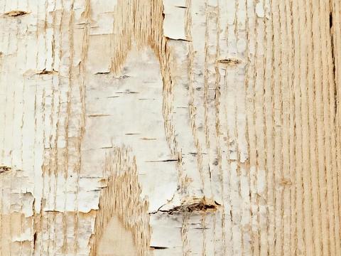  度假休闲风 名宿 天然桦木木皮 白色原木木皮 