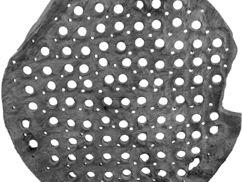 树木 年轮 木桩 树干 木头 残旧木纹 木材  干木柴 树根