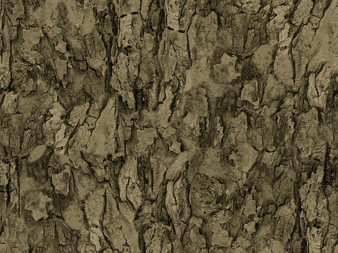 树皮 树干 木头 残旧木纹 木材 木柴 树枝