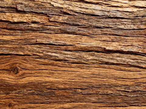  新中式 诧寂风 中古 天然木皮 老旧木头 深色木皮 