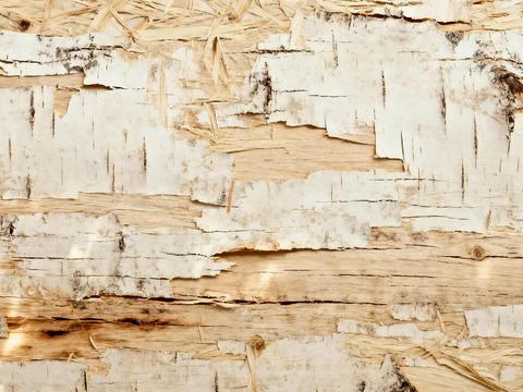  度假休闲风 名宿 天然桦木木皮 白色原木木皮 