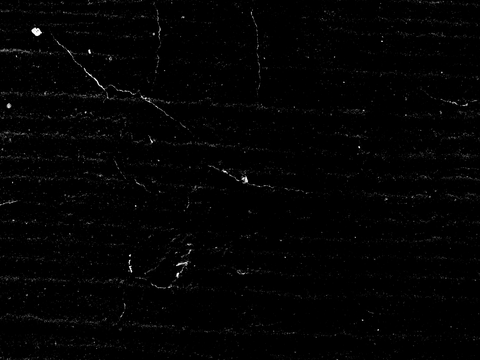  污渍噪波 斑点灰尘粉尘 