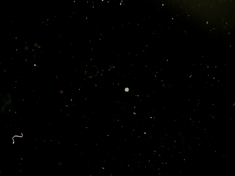  污渍噪波 斑点灰尘粉尘 