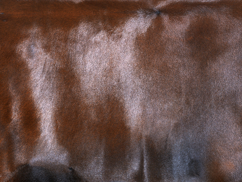  粗纹皮革 皮纹 皮草 动物皮毛 花纹皮革 绒毛毯 软硬包皮革 