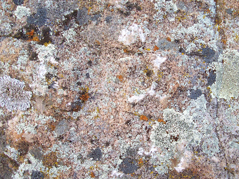  岩石 石头山石 文化石 花岗岩页岩 大理石板石材 岩板火烧板 