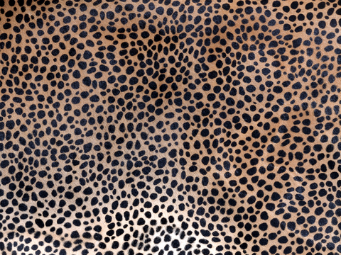  粗纹皮革 皮纹 皮草 动物皮毛 花纹皮革 绒毛毯 软硬包皮革 