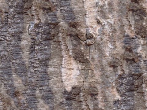 岩石 石头山石 文化石 花岗岩页岩 大理石板石材 岩板火烧板