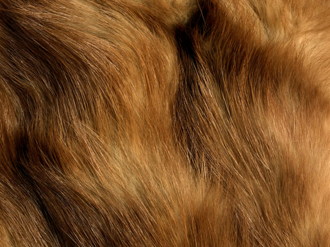  粗纹皮革 皮纹 皮草 动物皮毛 花纹皮革 绒毛毯 软硬包皮革 