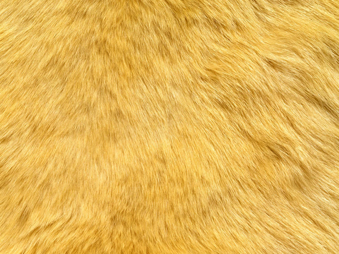  粗纹皮革 皮纹 皮草 动物皮毛 花纹皮革 绒毛毯 软硬包皮革 