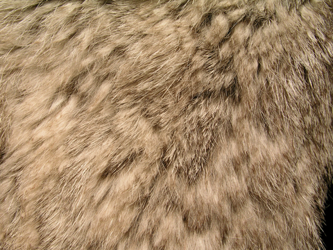  粗纹皮革 皮纹 皮草 动物皮毛 花纹皮革 绒毛毯 软硬包皮革 