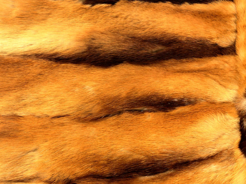  粗纹皮革 皮纹 皮草 动物皮毛 花纹皮革 绒毛毯 软硬包皮革 