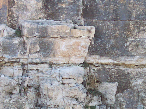 岩石 石头山石 文化石 花岗岩页岩 大理石板石材 岩板火烧板