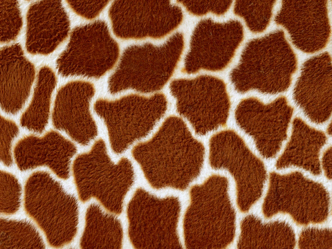  粗纹皮革 皮纹 皮草 动物皮毛 花纹皮革 绒毛毯 软硬包皮革 