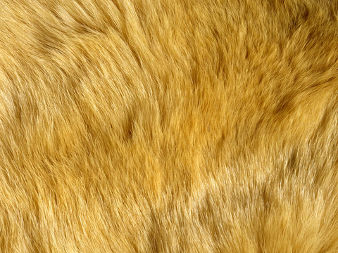  粗纹皮革 皮纹 皮草 动物皮毛 花纹皮革 绒毛毯 软硬包皮革 