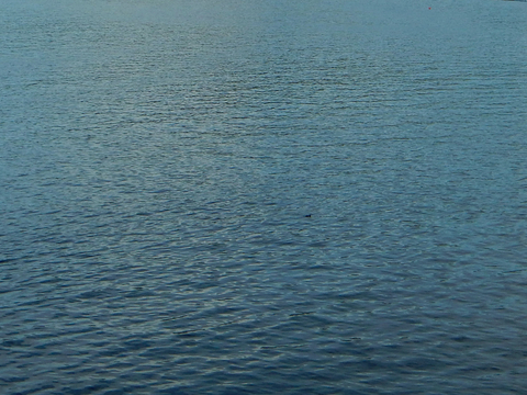水纹理 水面水波纹 泳池水面 海洋海滩海水 河水 水池 流水