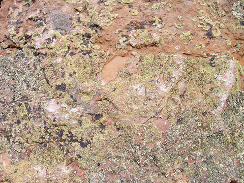 岩石 石头山石 文化石 花岗岩页岩 大理石板石材 岩板火烧板