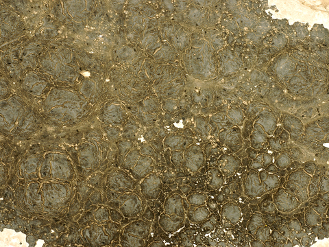  破损破旧塑料橡胶 废弃塑料橡胶 塑料布 轮胎 