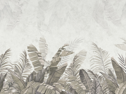 现代植物热带雨林壁纸