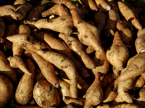  食物 蔬菜 香料 调料 玉米 包菜 辣椒 